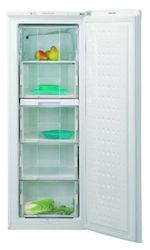 Ремонт и обслуживание холодильников BEKO FSE 21300