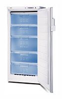 Ремонт и обслуживание холодильников BOSCH GSE 22421
