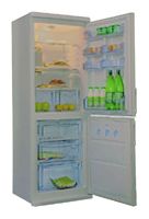 Ремонт и обслуживание холодильников CANDY CCM 360 SLX