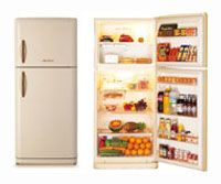 Ремонт и обслуживание холодильников DAEWOO FR-520 NT