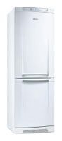 Ремонт и обслуживание холодильников ELECTROLUX ERB 34300 W
