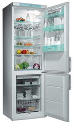Ремонт и обслуживание холодильников ELECTROLUX ERB 3651