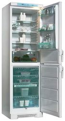 Ремонт и обслуживание холодильников ELECTROLUX ERB 3909