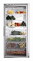 Ремонт и обслуживание холодильников GAGGENAU SK 211-140