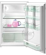 Ремонт и обслуживание холодильников GORENJE RI 134 B