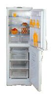 Ремонт и обслуживание холодильников INDESIT C 236