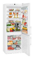 Ремонт и обслуживание холодильников LIEBHERR CN 5113