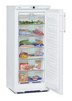 Ремонт и обслуживание холодильников LIEBHERR GN 2153