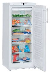 Ремонт и обслуживание холодильников LIEBHERR GN 2156