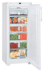 Ремонт и обслуживание холодильников LIEBHERR GN 2313
