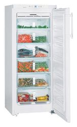 Ремонт и обслуживание холодильников LIEBHERR GN 2356