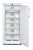 Ремонт и обслуживание холодильников LIEBHERR GN 2413