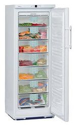 Ремонт и обслуживание холодильников LIEBHERR GN 2556