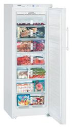 Ремонт и обслуживание холодильников LIEBHERR GN 2756