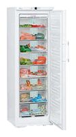 Ремонт и обслуживание холодильников LIEBHERR GN 3066
