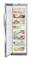 Ремонт и обслуживание холодильников LIEBHERR GNES 2866