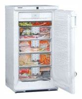 Ремонт и обслуживание холодильников LIEBHERR GSN 2026