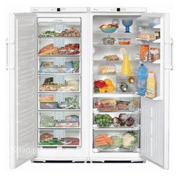 Ремонт и обслуживание холодильников LIEBHERR SBS 6102