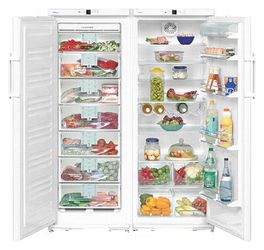 Ремонт и обслуживание холодильников LIEBHERR SBS 6302
