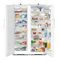 Ремонт и обслуживание холодильников LIEBHERR SBS 7202