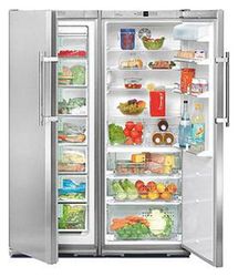 Ремонт и обслуживание холодильников LIEBHERR SBSES 6102