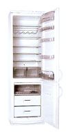 Ремонт и обслуживание холодильников SNAIGE RF390-1703A
