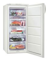 Ремонт и обслуживание холодильников ZANUSSI ZFU 319 EW